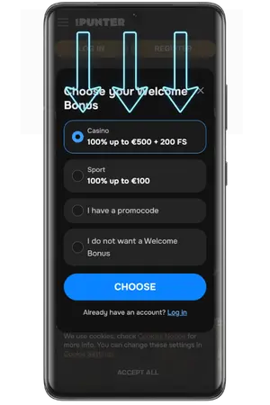 In the window that opens, select MrPunter bonus to continue